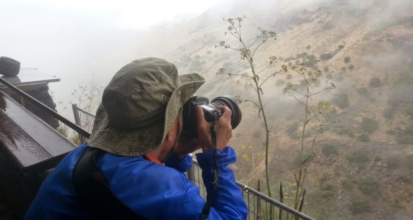 1984d6bf1e8fdbb5d1e68c9e52ee78f1